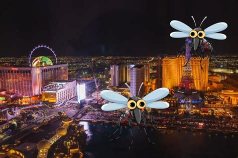 Las Vegas Sees Record Mosquito Activity High Risk Of West Nile Virus