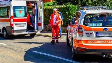 Donna Punta Da Un Insetto Mentre Guida Collassa Sul Volante E Si Schianta