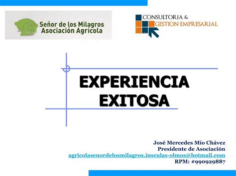 PDF EXPERIENCIAS EXITOSAS Pdf DOKUMEN TIPS