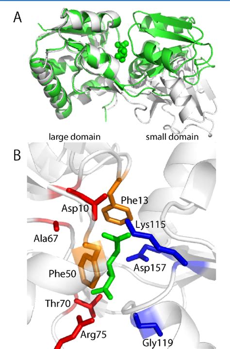 Figure From Free Energy Landscape Of Protein Ligand Interactions