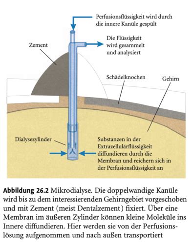 2 Methoden Der Biologischen Psychologie Karteikarten Quizlet