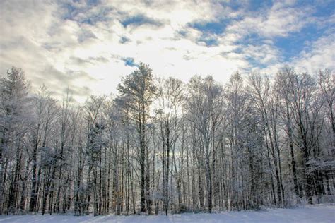 The Quiet Beauty of Winter in Maine