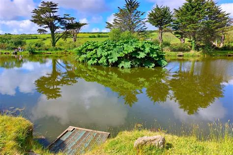 Cornwall Carp Fishing Lakes Near Me - Discover The Best Fishing Spots