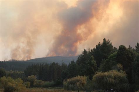 Conaf Informa Que 8000 Hectáreas Han Sido Consumidas En Coronel Debido