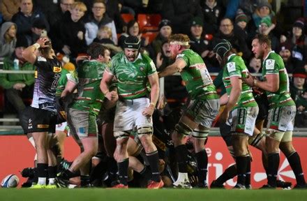 Leicester Tigers V Dhl Stormers Stock Photos Exclusive Shutterstock