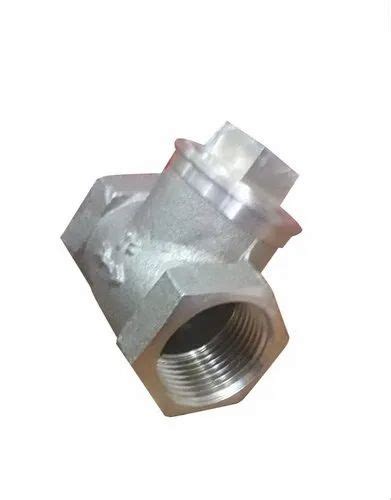 Stainless Steel Mm Swing Check Valve Screwed Valve Size Mm