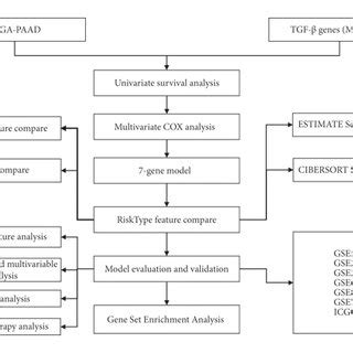 The Workflow Of Constructing A Prognostic Model For Pancreatic