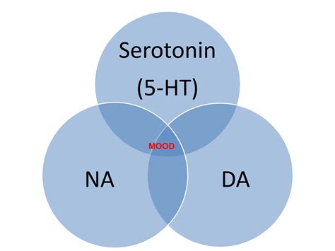 Anti Depressants Drugs For Mbbs Students Pharmacology Ppt