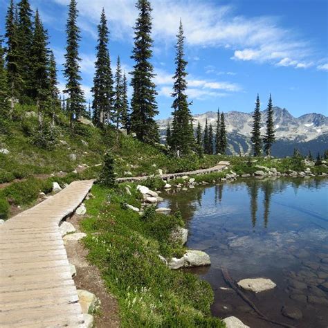 Harmony Lake Trail Photo Hiking Photo Contest Vancouver Trails