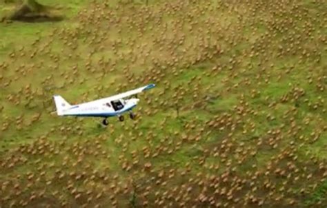 African antelope migration largest ever but species face extinction