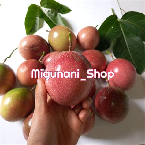 Jual buah markisa merah kuning hijau segar 1 kg fresh asem² manis