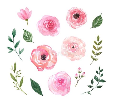 Watercolor Spring Flower Illustrations Set Cute Pink Flowers Greenery