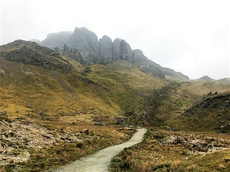 Felled Trees At The Old Man Of Storr The Storr Native Woodland