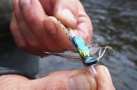 Selection Of Steelhead Wake Flies The Flashback Bug Collection Of Flies