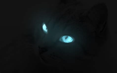 Glowing Cat Eyes by O-Chir on DeviantArt