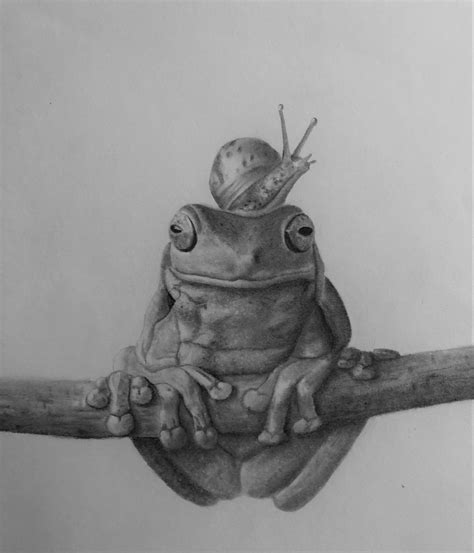 Frog with a snail. Original drawing by Elena Whitman Cute Snail ...