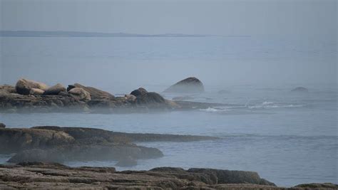 Cape Ray | Newfoundland and labrador, Cape, Canadian provinces