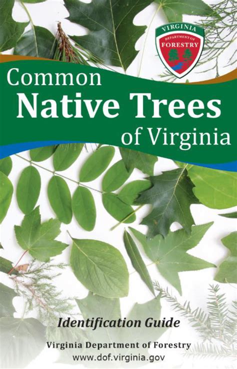 Virginia Trees | N.C. Tree Farm Program, Inc.