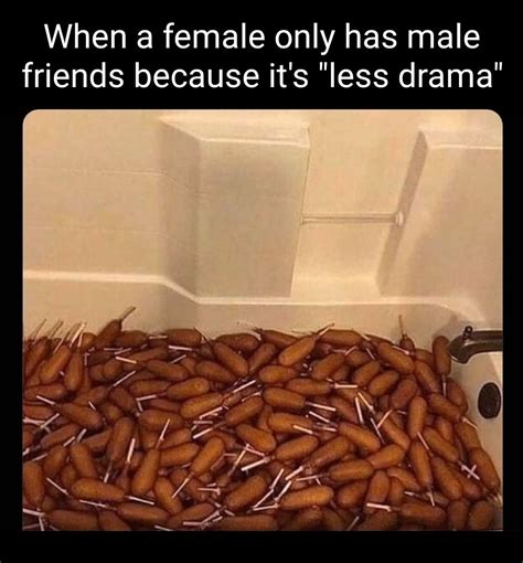 When A Female Only Has Male Friends Because It S Less Drama Meme