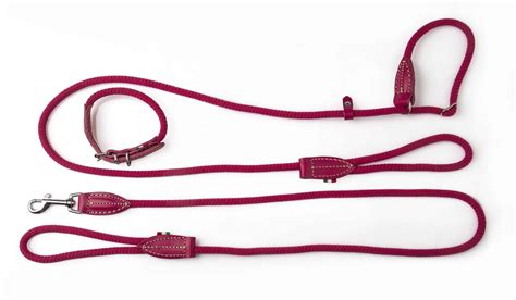 Bianca Cotton Rope And Leather Slipfigure 8 Dog Lead 7mm Rudy And Lou