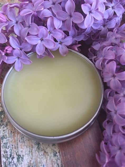 Lilac Infused Oil And Salve In 2024 Herbal Salves Infused Oils