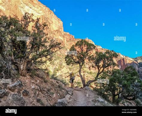 Hiking The North Kaibab Trail Grand Canyon National Park Arizona U S