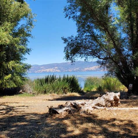 Clear Lake Campground Lower Lake Ca