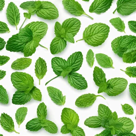 premium ai image mind leaves collection