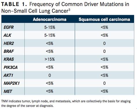 Nonbiomarker, Nonsquamous NSCLC: Diagnosis, Statistics, Staging, and Testing