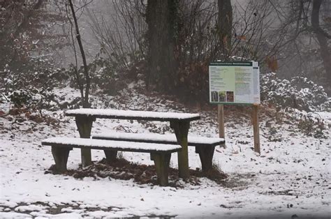 La Prima Neve Del 2023 Sul Monte Maddalena Giornale Di Brescia