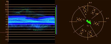 Video Essentials: How to Read a Vectorscope and Waveform Monitor - The ...