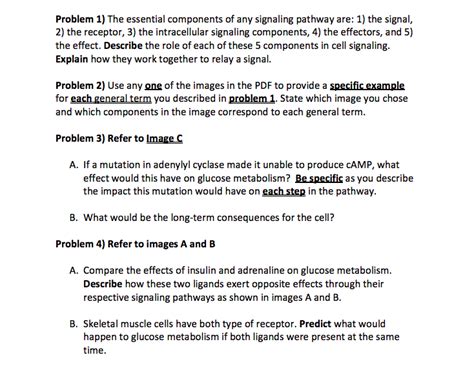Solved Problem 1) The essential components of any signaling | Chegg.com 