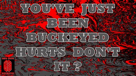 Youve Just Been Buckeyed Ohio State Football Wallpaper 23754896 Fanpop