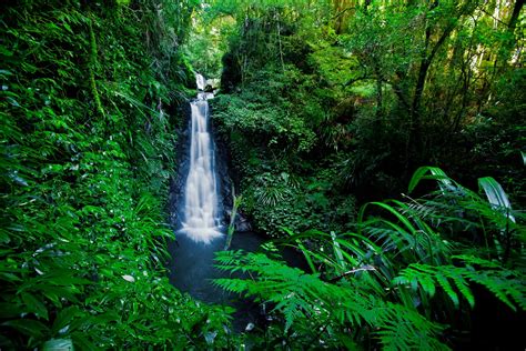 Banco de Imágenes Gratis: 23 fotografías fascinantes para ver y ... 