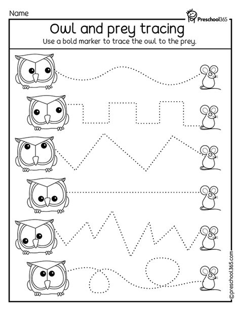 Preschool-Owl-Theme-Line-tracing-Activity-Worksheets | Preschool365