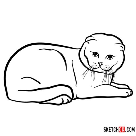 Раскраска вислоухий кот - 74 фото