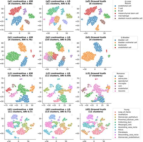 Contrastive Sc Clustering Compared To Ground Truth The Comparison Of Download Scientific