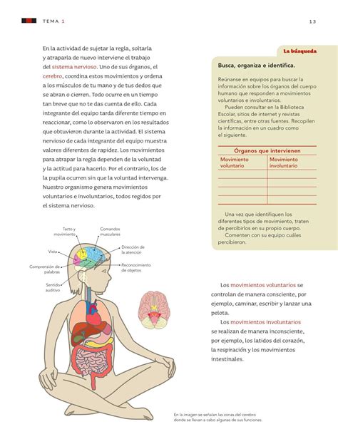 Libro De Ciencias Naturales Sexto Grado Contestado Ciencias Naturales