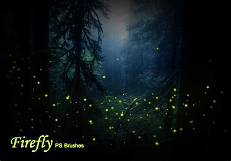 20 Firefly PS Brushes abr vol.1 - Free Photoshop Brushes at Brusheezy!