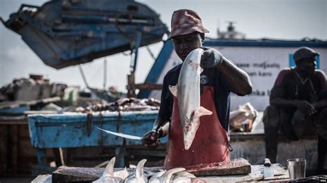 Somali Fishermen Struggle to Compete with Foreign Fishing Boats