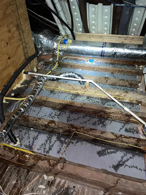 Full before and after rodent infestation - Master Attic