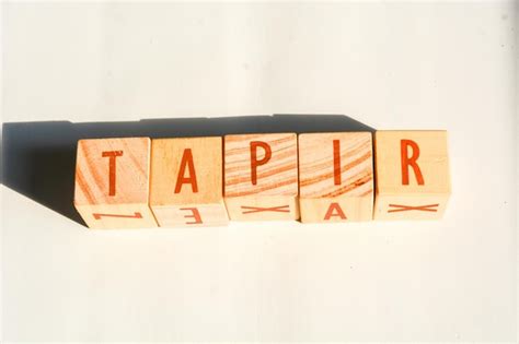 Des Blocs D Alphabet En Bois Isol S Sur Blanc Avec La Phrase Tapir