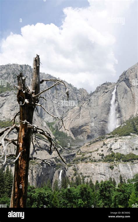 Yosemite Falls, California, United States Stock Photo - Alamy