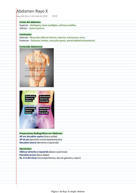 Rayo X Simple Abdome Limite Del Abdomen Superior Diafragma Hiato