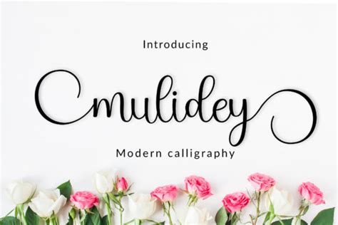 The Swirly Fonts Bundle Bundle · Creative Fabrica