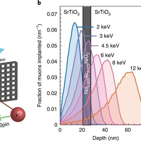 Features of the low-energy muon spin rotation experiment a, Schematic... | Download Scientific ...