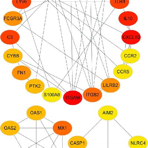 The Protein Protein Network Of Top 30 Degs The Red And Green Represent