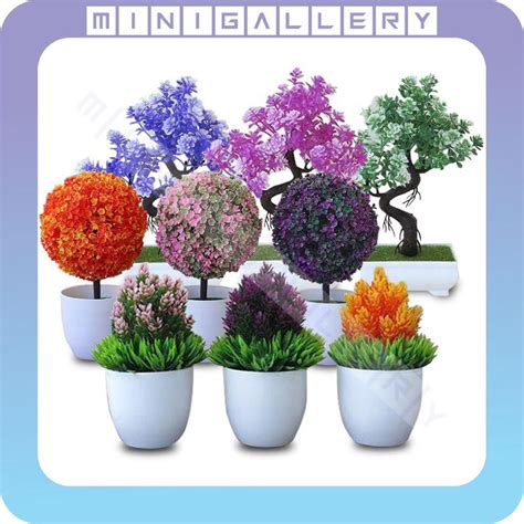 Jual MG 216 (1) Pot Tanaman Bunga Dekorasi Rumah Tanaman Hias Murah