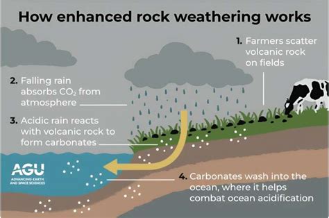 Rock Weathering: A Solution For Carbon Capture? | Youngzine Sustainable ...