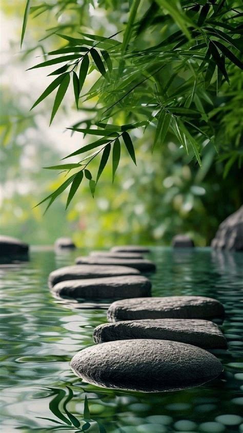 Stones Are Lined Up In The Water Near Bamboo Leaves